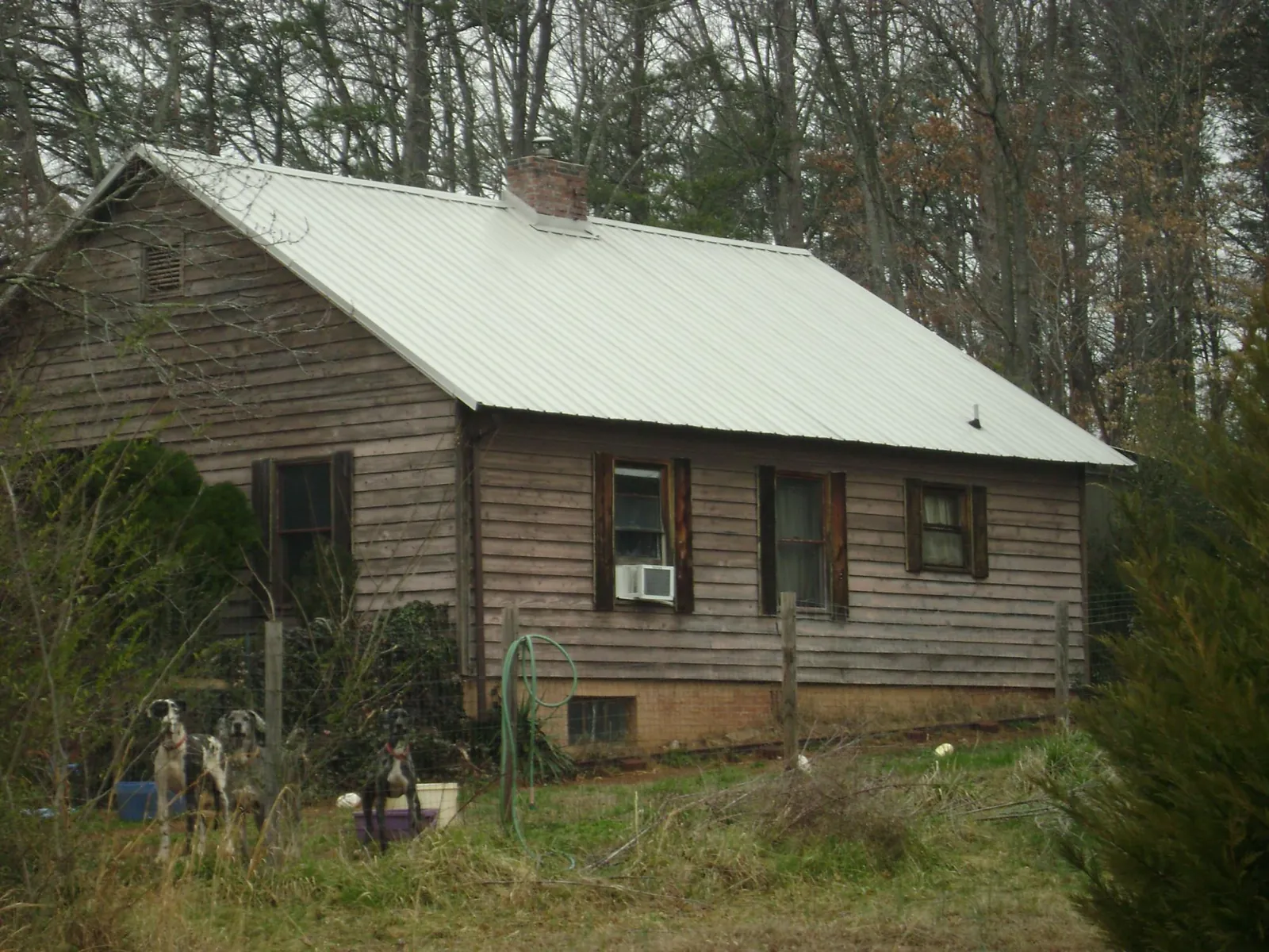 White metal roof on an old wood sided farmhouse, from a Asphalt Shingle Roof Repair job in Mays